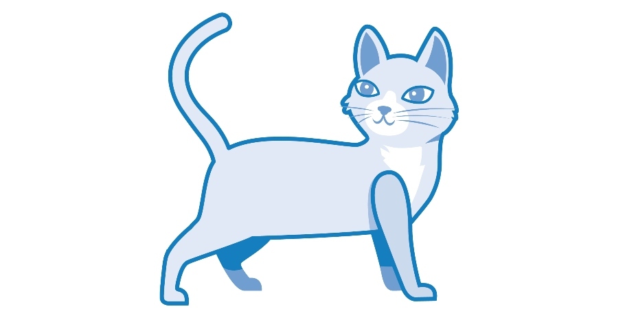 Calm cat