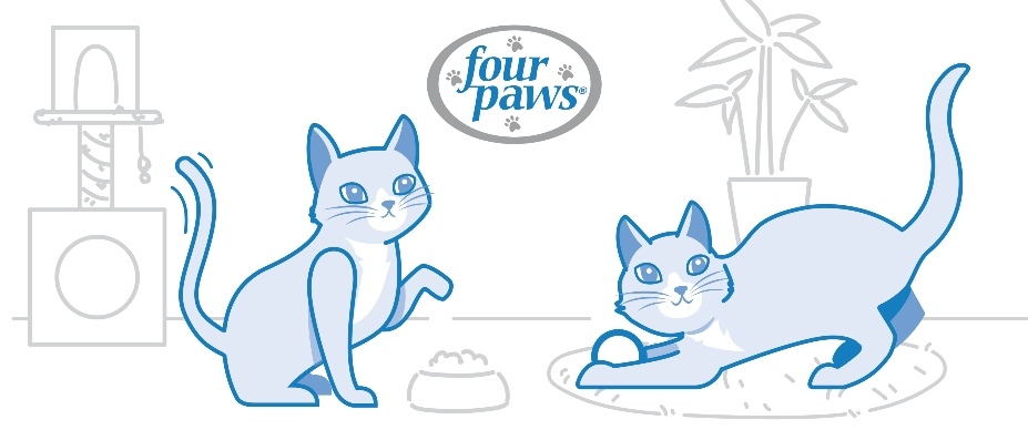 Cat licking paw 