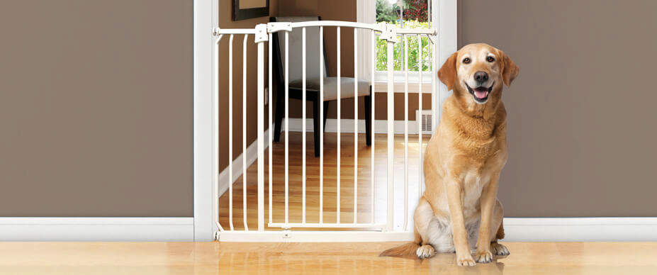 Dog Gates and Crates