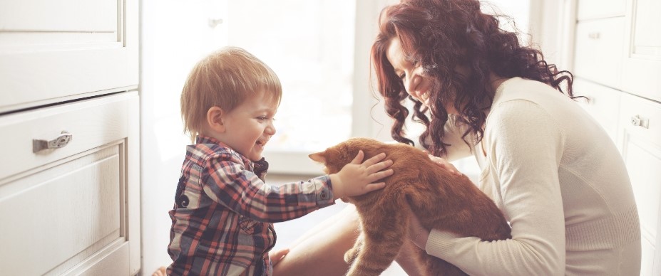 Child interacting with cat  