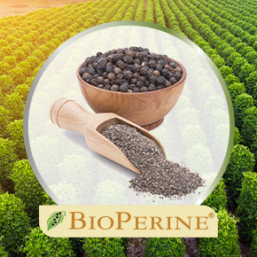 BioPerine graphic.