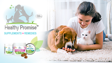 Healthy Promise graphic.