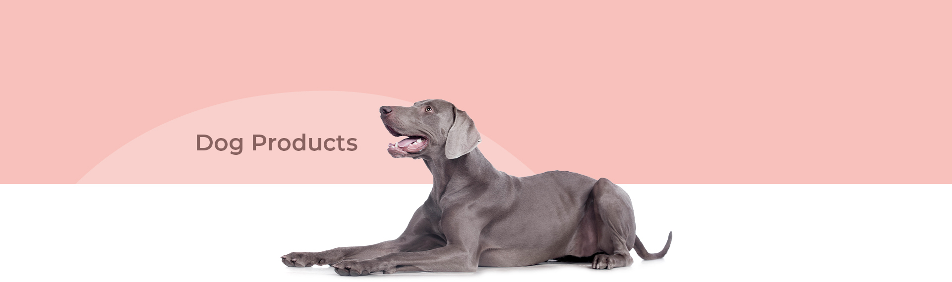 Dog Products graphic.