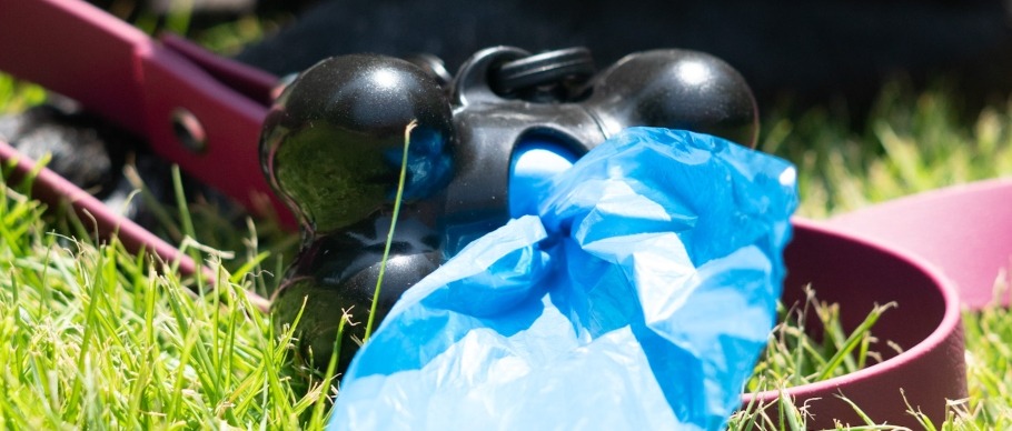 Four Paws Wee-Wee Outdoor Dog Waste Bag Dispenser