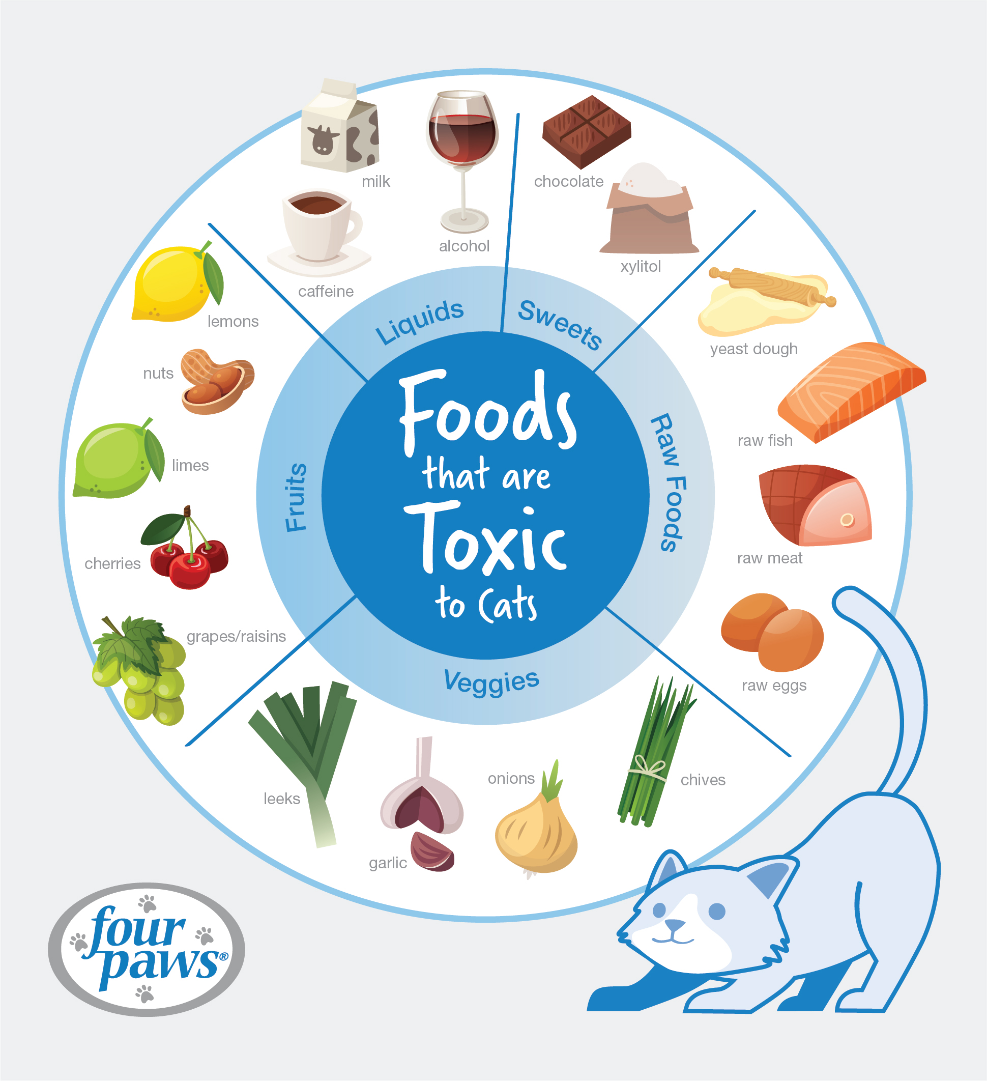  Foods that are toxic to cats infographic